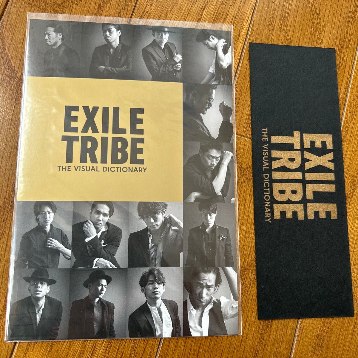 EXILE TRIBE写真集  ＴＨＥ　ＶＩＳＵＡＬ　ＤＩＣＴＩＯＮＡＲＹ　初回限定版  【最終再値下】