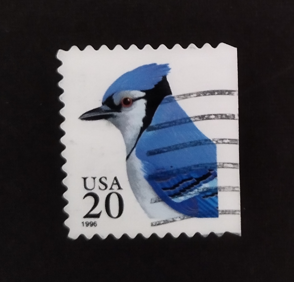 アメリカの鳥の切手1995-06-15発行 Blue Jay (Cyanocitta cristata)_画像1