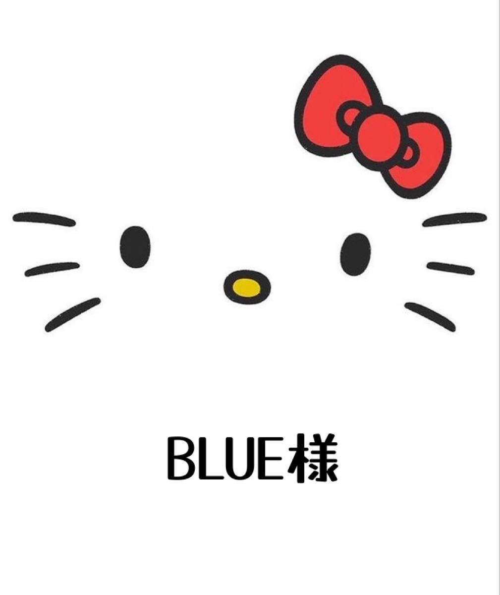 BLUE様専用｜Yahoo!フリマ（旧PayPayフリマ）