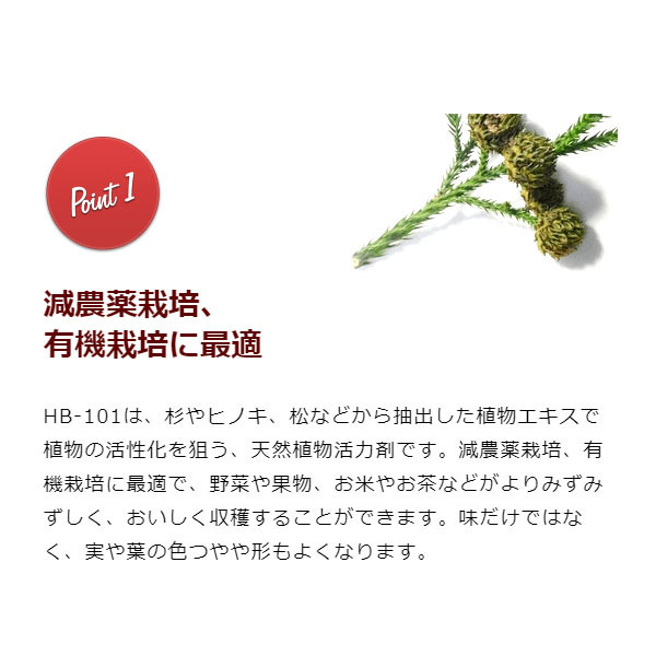 フローラ HB-101 300g 顆粒タイプ 粒状 植物 活力剤 天然 活性剤 栄養剤 野菜 果物 有機栽培 園芸 ガーデニング 農業 芝生_画像6