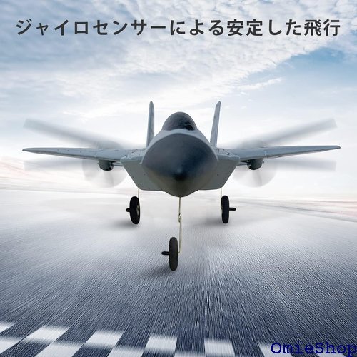 WORKラジコン飛行機、F-22 RC飛行機電動 されて簡単に飛ばせる 子供と初心者向けのラジコングライダー