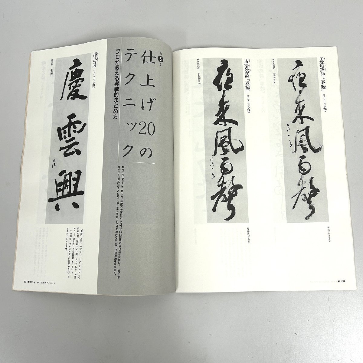 【80】ビデオで学ぶ条幅製作 秘 テクニック100 日本書道協会 ビデオ未開封 保管品 現状品_画像8