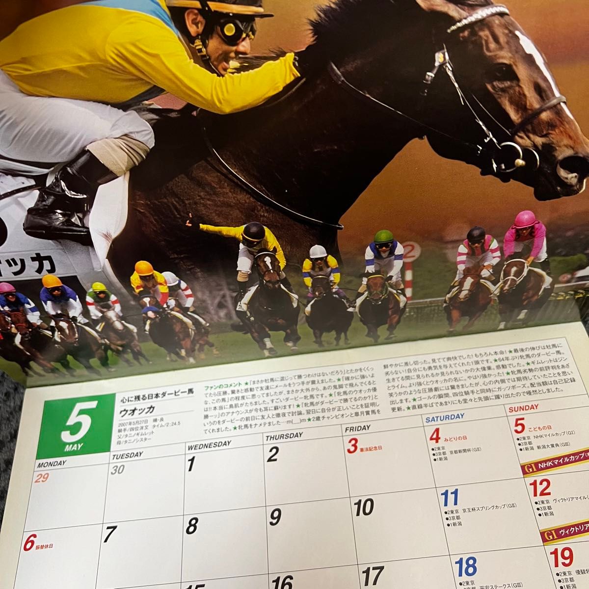 JRAカレンダー2013 心に残る日本ダービー馬、有馬記念馬  競馬