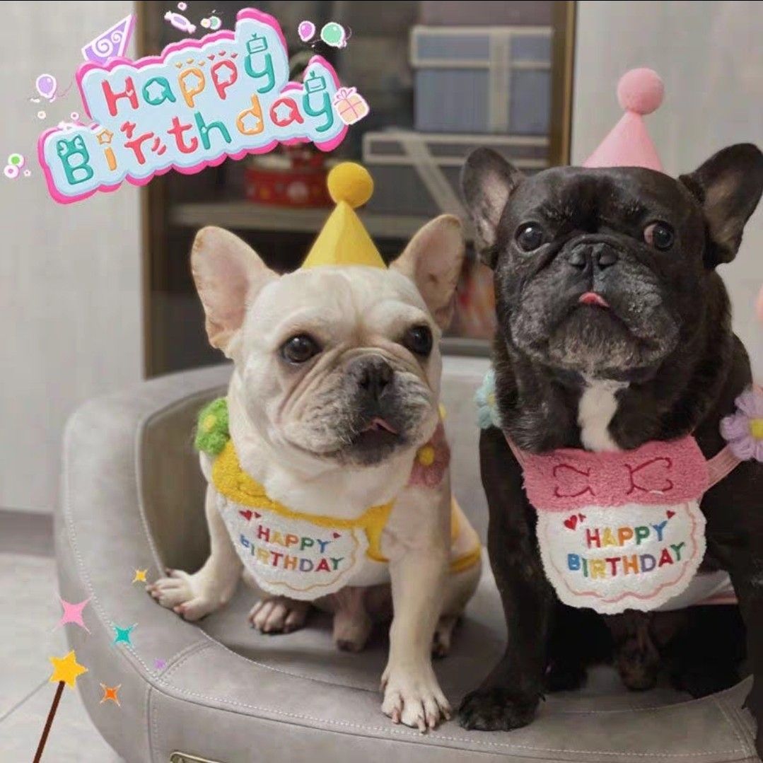 ☆ピンク☆誕生日スタイ&帽子セット　犬用　猫用　