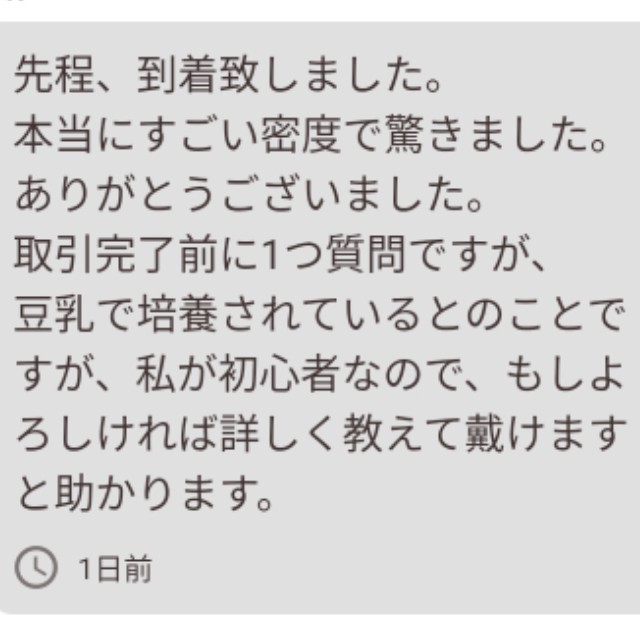 史上最強★絶対の自信あり★密度が違います★簡単培養ゾウリムシ500ml★ペットボトルで爆殖中★ビーシュリンプの餌に★生クロレラも出品中_画像4