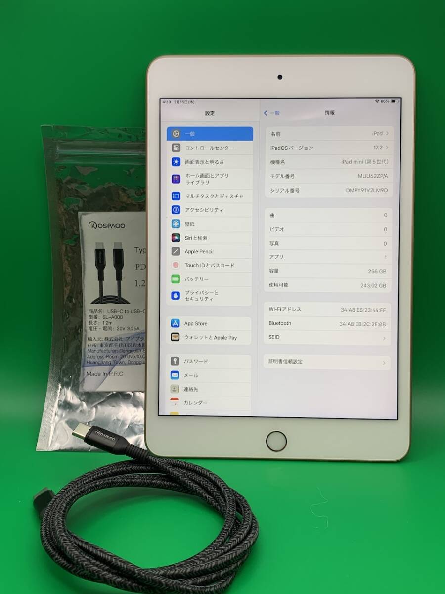 美品 iPad mini 第5世代 Wi-Fiモデル 256GB MUU62ZP/A ゴールド BP2134