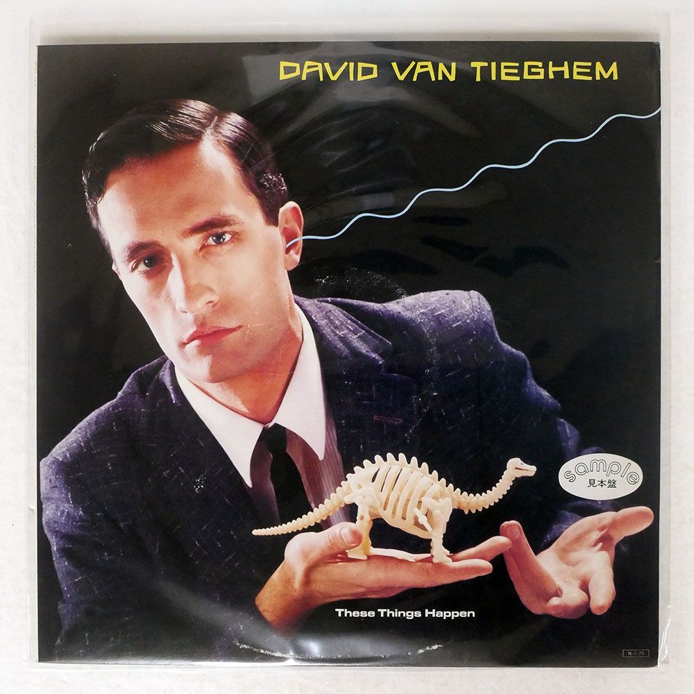 見本盤 DAVID VAN TIEGHEM/THESE THINGS HAPPEN/WARNER BROS. P11488 LP_画像1