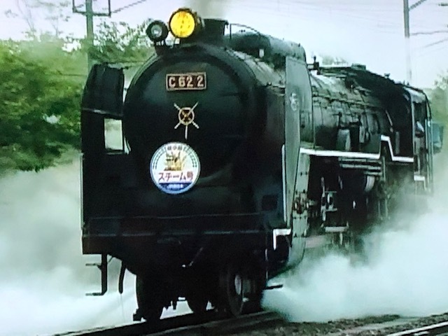 個人撮影　復活蒸気機関車シリーズ　梅小路蒸気機関車館　C622号機　4分 　4:3画面 　DVD-Rにて_画像1