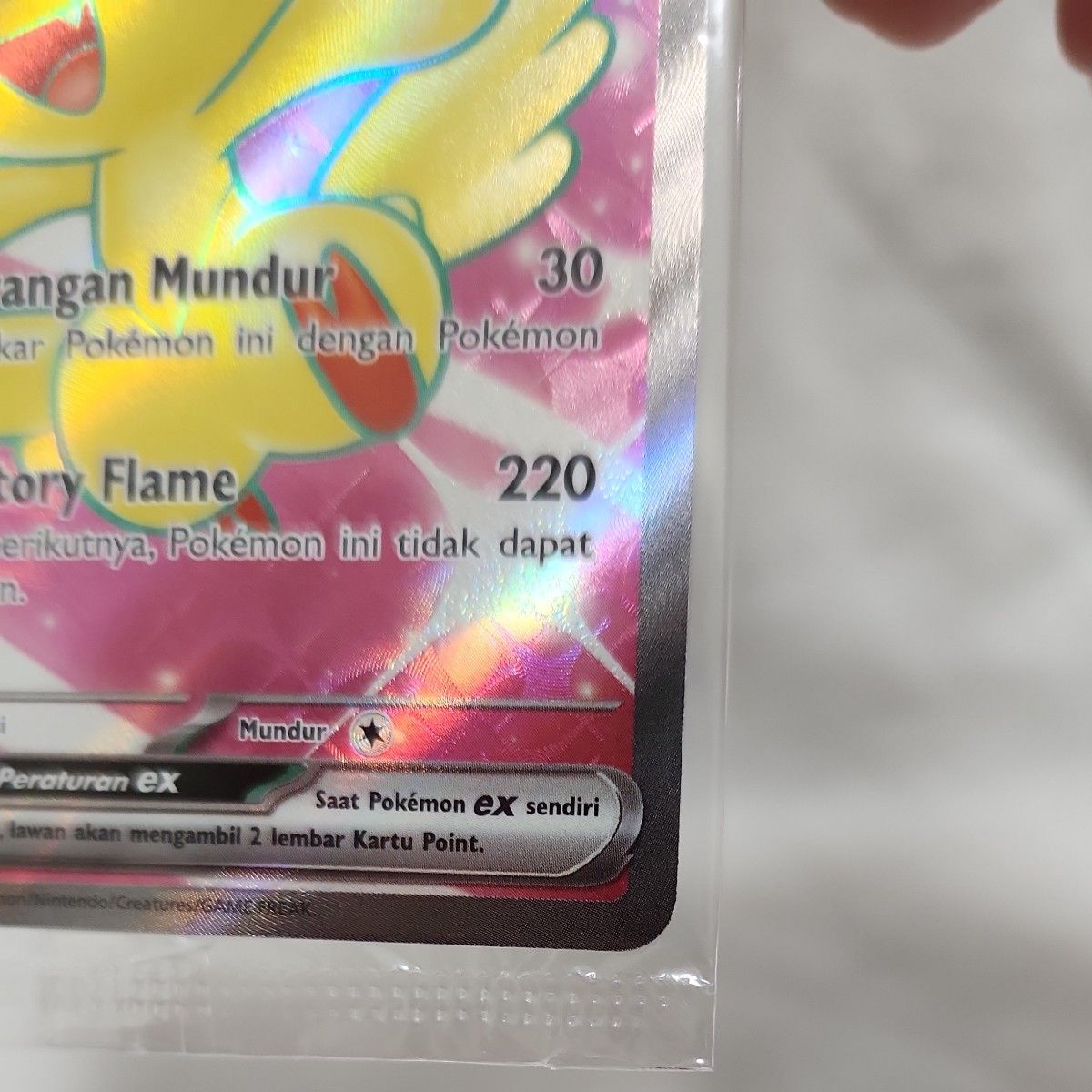 ポケモンカード 正規品 ビクティニEX SR プロモ 争奪戦|Yahoo ポケモンカード 正規品 ビクティニEX SR プロモ 争奪戦|Yahoo