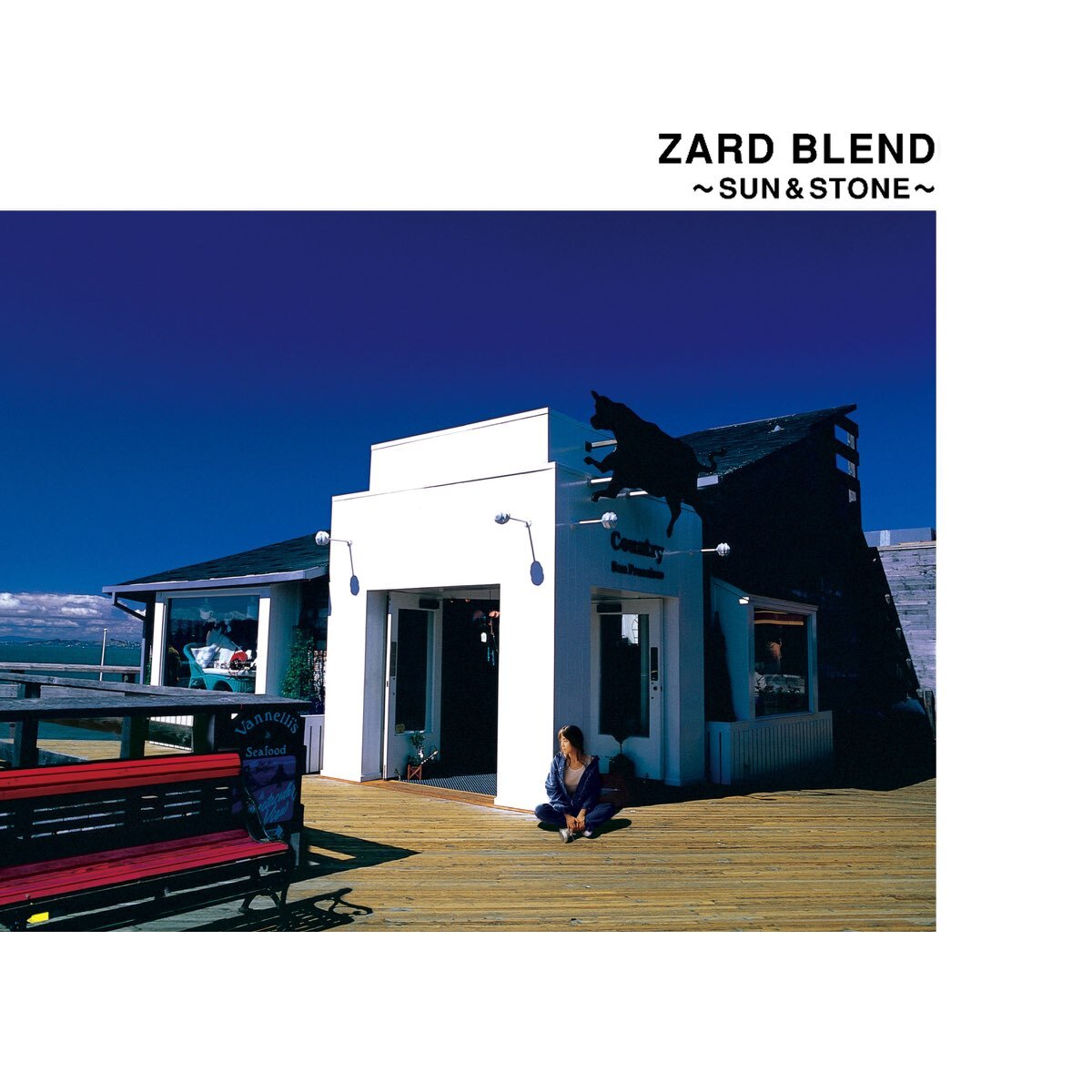 ＺＡＲＤ　ＢＬＥＮＤ　～ＳＵＮ＆ＳＴＯＮＥ　ＣＤ_画像1