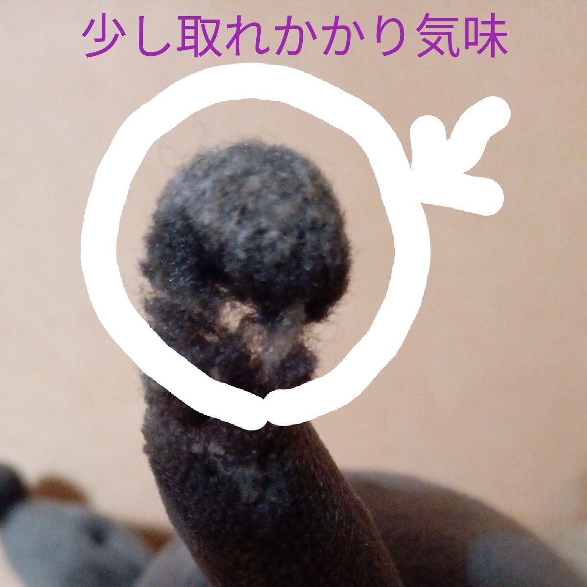 ちいかわ×サンリオ キャラクターズ デスクトップから見守る ちいかわ×サンリオ キャラクターズ デスクトップから見守る