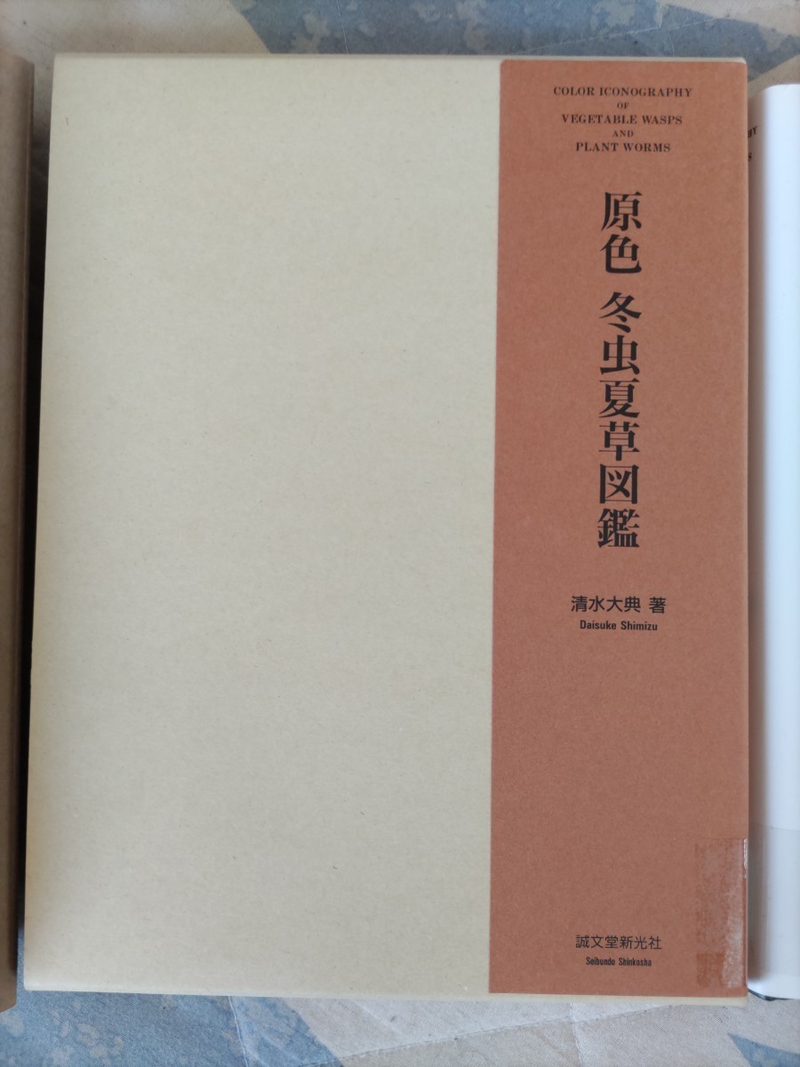 格安★清水大典『原色 冬虫夏草図鑑』誠文堂新光社・1994 年・カバ二重凾・定価28,000円ー菌類_画像3