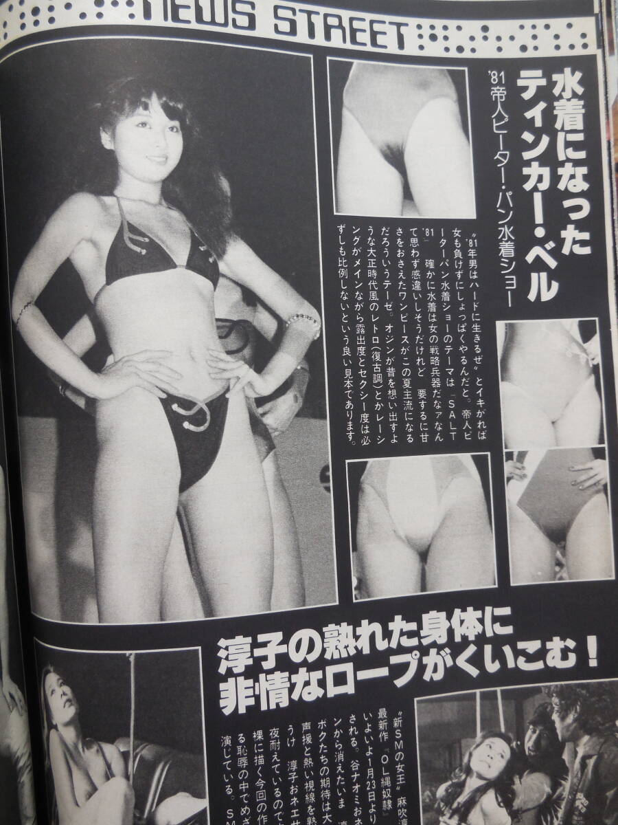 週刊プレイボーイ　1981年　昭和56年2月3日　夏樹陽子　柏原芳恵_画像5