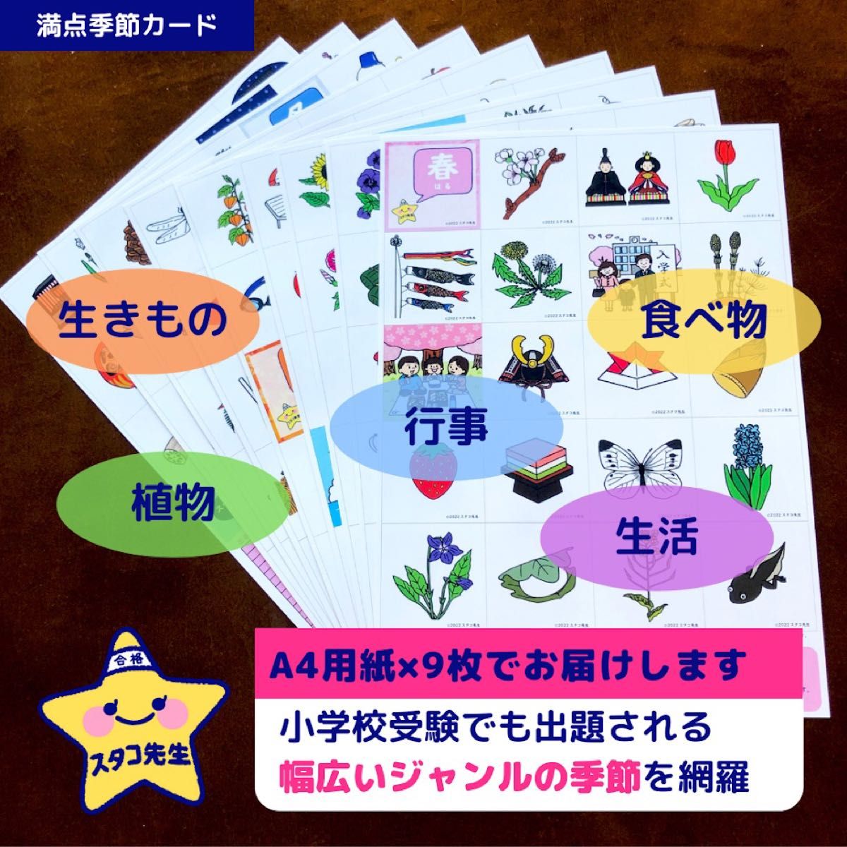 小学校受験　季節　季節カード　季節のお勉強