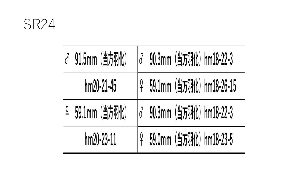 【ミナミ】能勢SR ♀53.5ｍｍ(90.5ｍｍ同腹) 新成虫 オオクワガタ（繁殖個体）_画像5