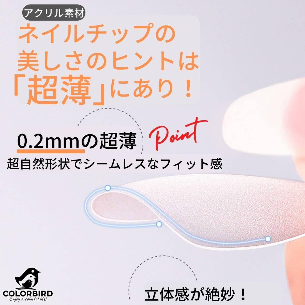 【売れ筋商品】COLORBIRD ネイルチップ 超薄 ロング クリア 240枚 サンディング 自然なフィット感 つけ爪 (バレリー