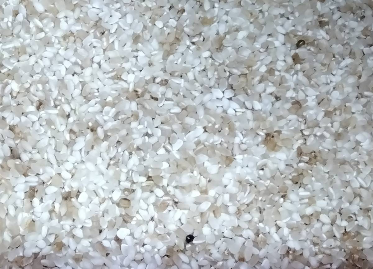 【送料無料】色彩選別　うるち米のくず米18kg_画像2