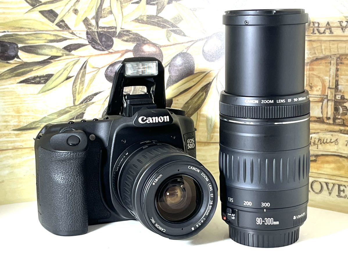 美品 キャノン Canon EOS 50D 300mm超望遠Wレンズ 元箱付属品多数16GB CFカード付 すぐに撮影できます 総ショット数極少 6,500回の画像3