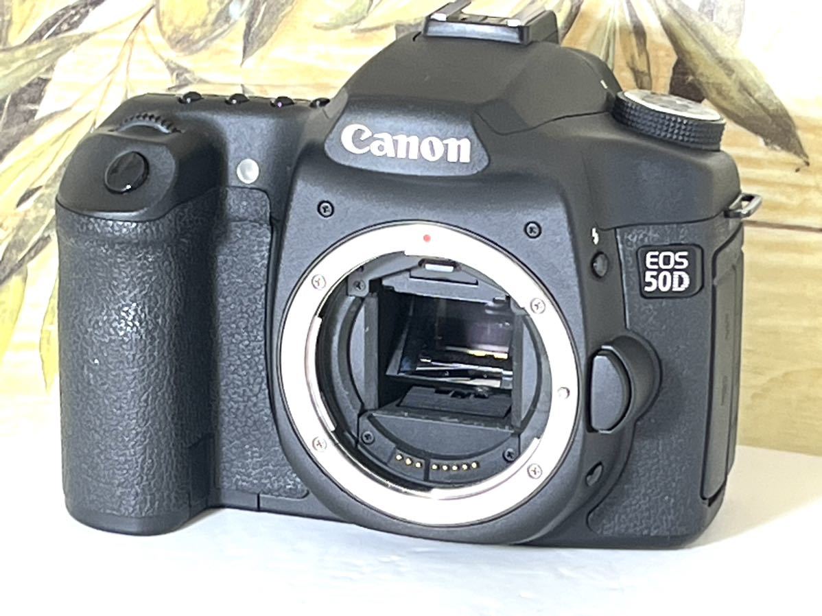 美品 キャノン Canon EOS 50D 300mm超望遠Wレンズ 元箱付属品多数16GB CFカード付 すぐに撮影できます 総ショット数極少 6,500回の画像4