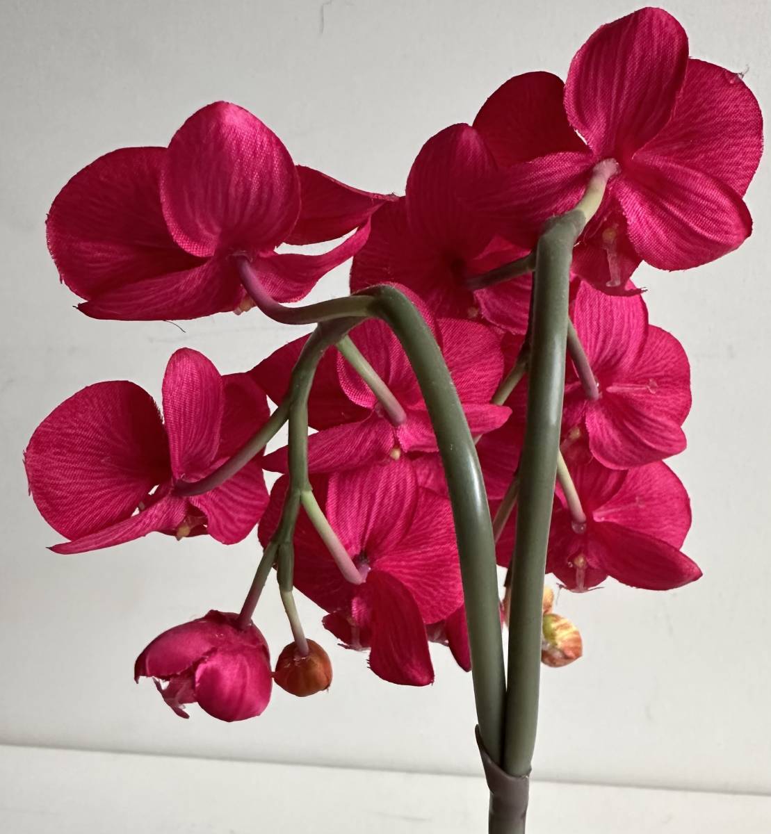 真紅の胡蝶蘭の造花 美品_画像6