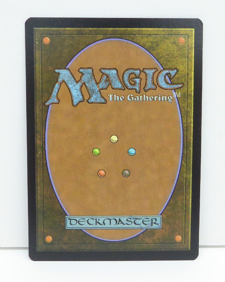 MAGIC The Gathering MTG Misty Rainforest foil カード △WU1361_画像6