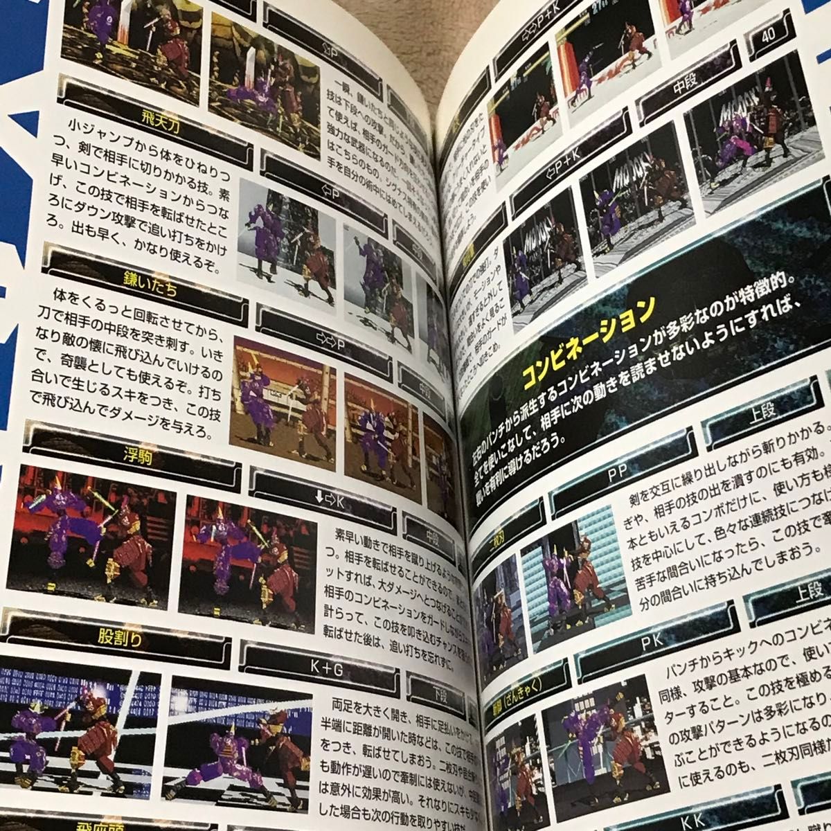 PS攻略本　ゼロディバイド２パーフェクトガイド （Ｔｈｅ　ＰｌａｙＳｔａｔｉｏｎ　ｂｏｏｋｓ） 