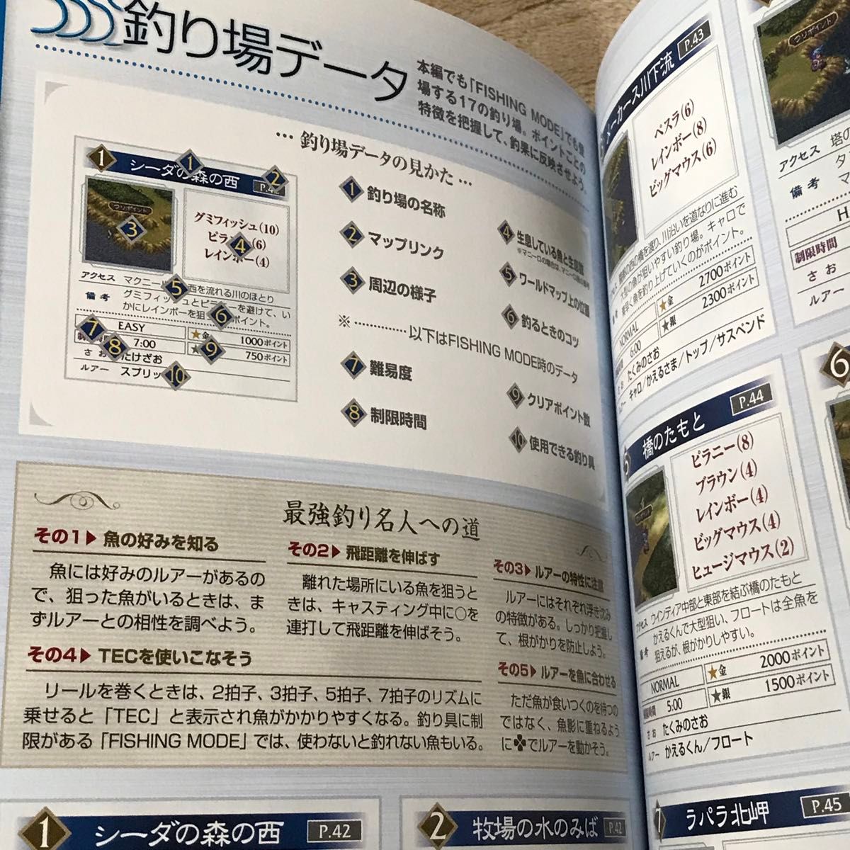 PSP攻略本　ブレスオブファイアⅢ オフィシャルコンプリートガイド (カプコンオフィシャルブックス)
