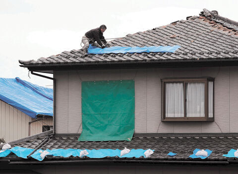  Ichikawa city * Funabashi city * Matsudo city roof . painting outer wall painting (68*78*93 ten thousand jpy pack ) scaffold fee * tree part * rain .* washing included 