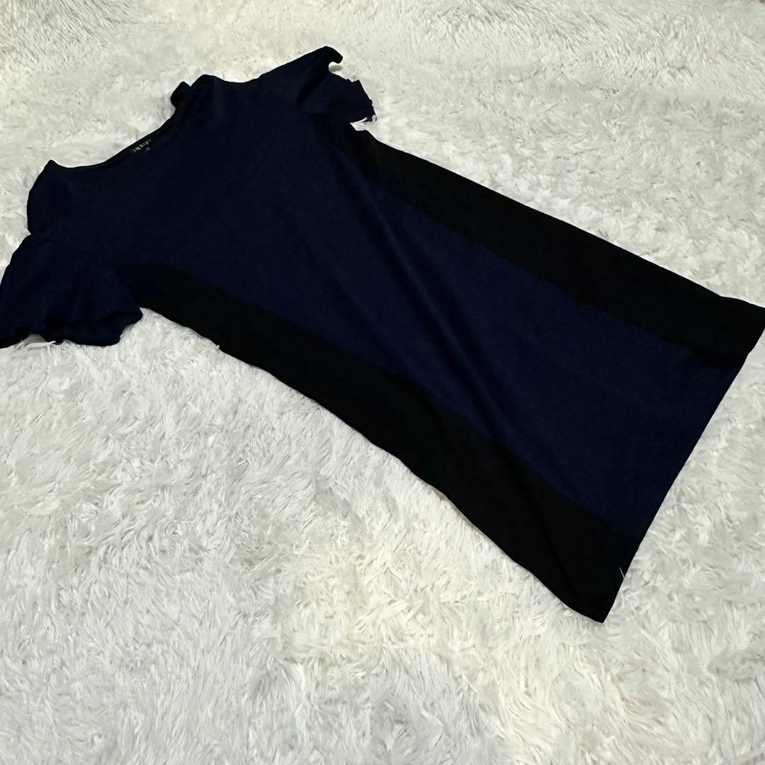 INDIVI】Tシャツ 40号 Lサイズ ブルー×ブラック コットン 日本製