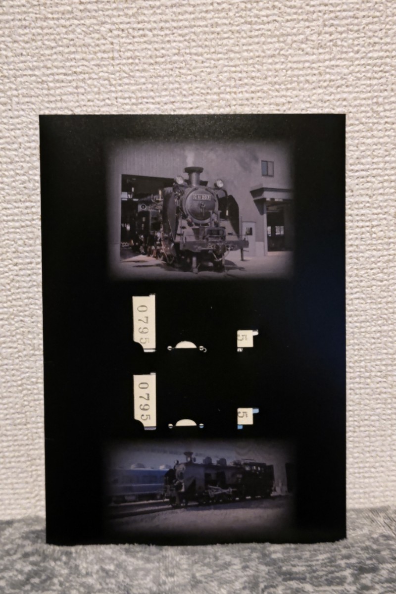 東武鉄道 SL復活運転 SL『大樹』列車名称発表記念乗車券の画像3