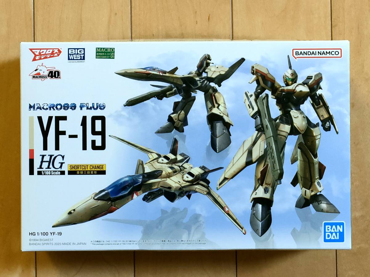 2 piece exhibition including in a package possible new goods HG 1/100 YF-19 MACROSS PLUS Macross plus Bandai BANDAI