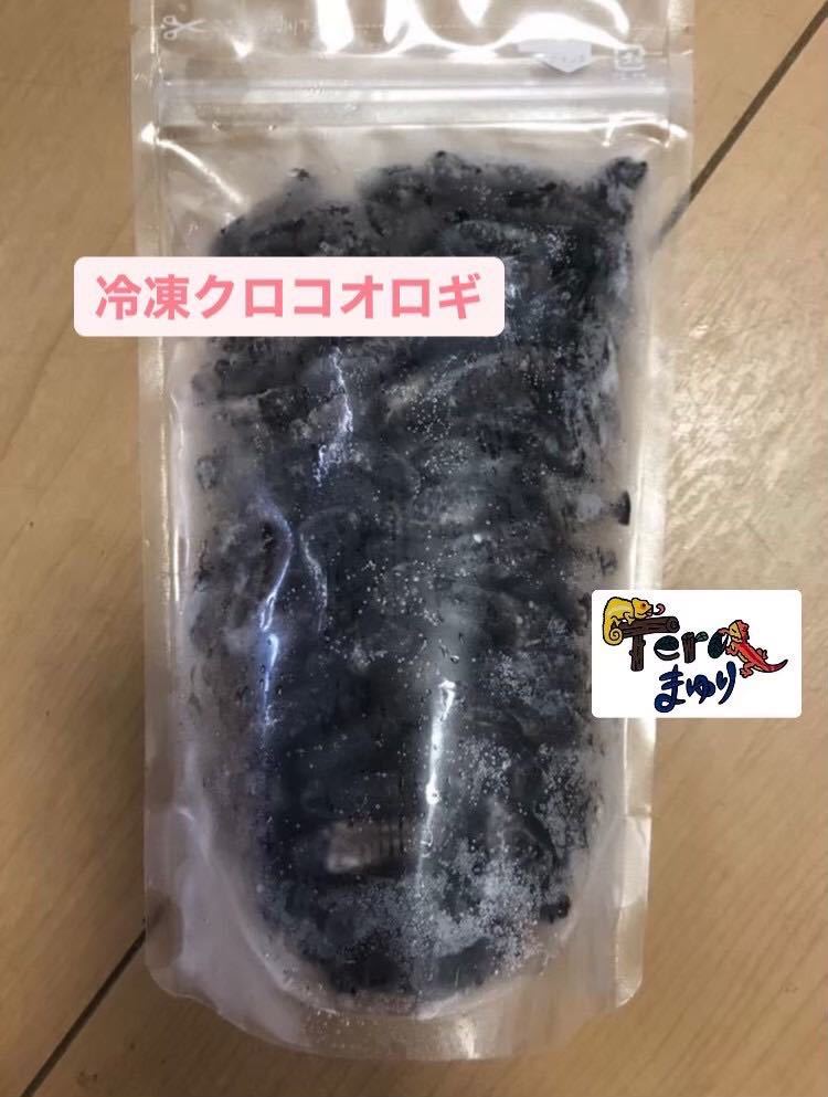 冷凍クロコオロギ　メガサイズ500g（500〜650匹）_画像1