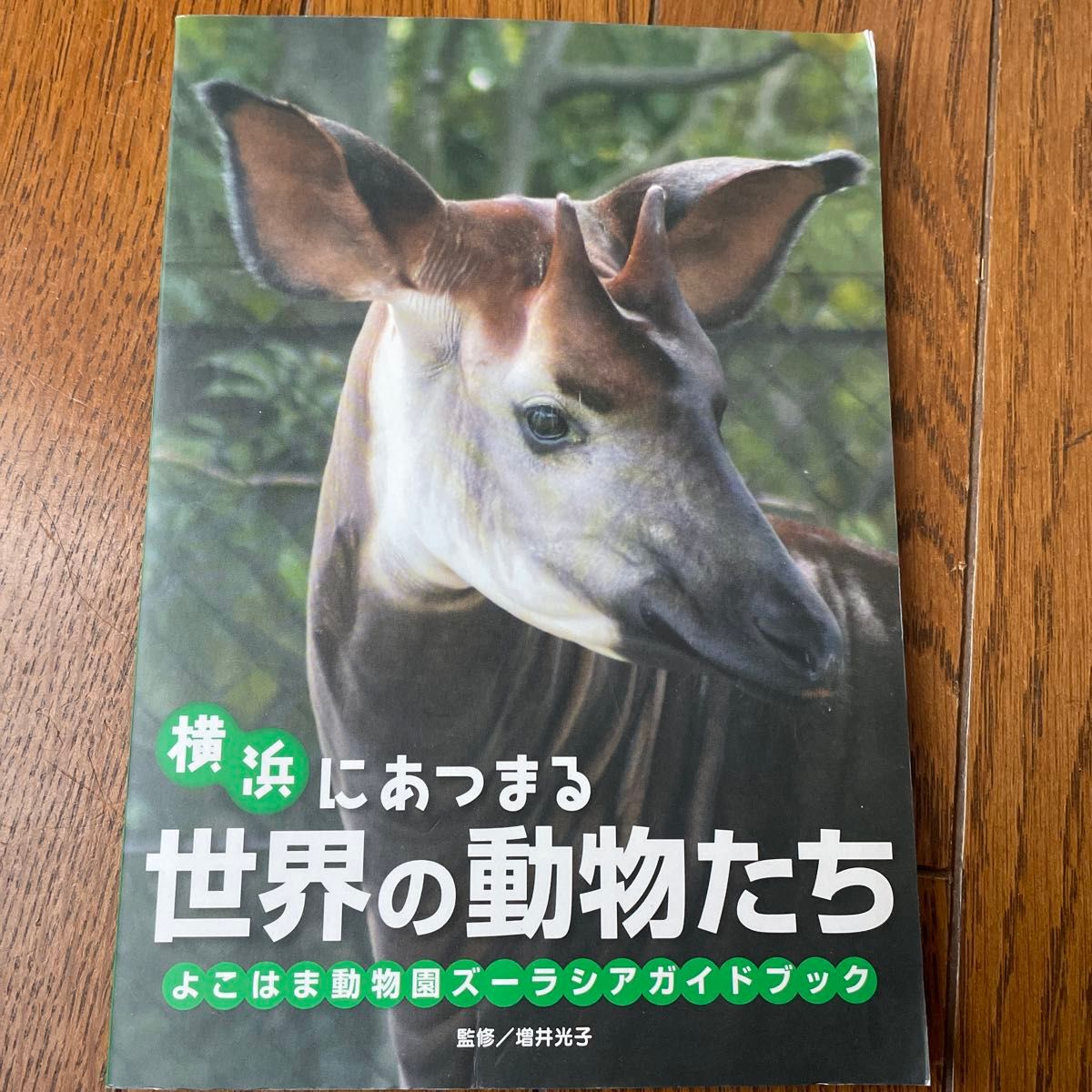 横浜にあつまる世界の動物たち　よこはま動物園ズーラシアガイドブック