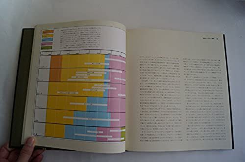 巨石文化の謎　ライフ人類100万年　1977年発行/美品/日本語　The Mountment Buiders-The Emergence of Man　社会科/世界史/歴史