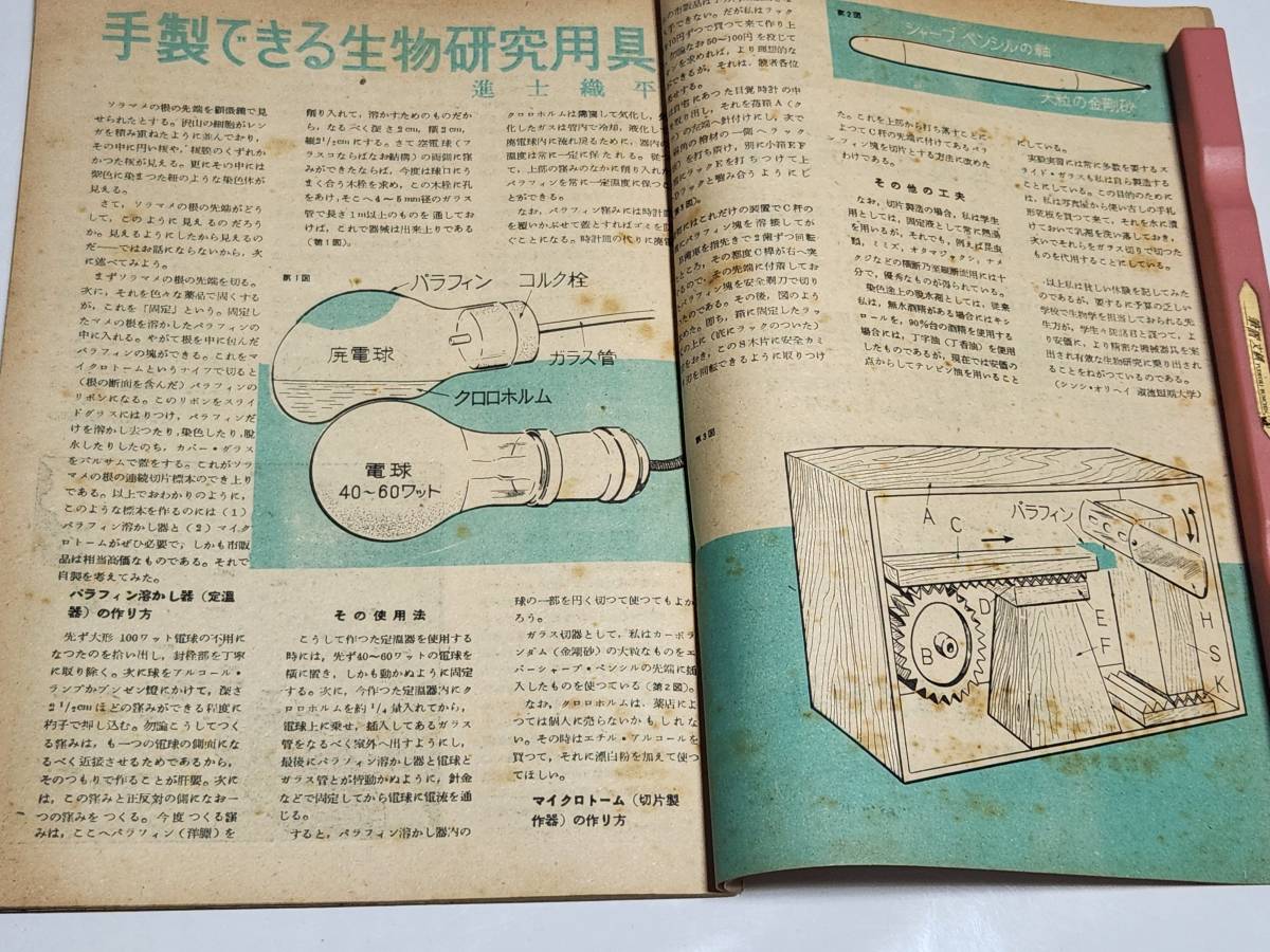 ４０　昭和26年2月号　科学朝日　リアエンジンバス　民間放送とブランケットエリア　手製できる生物研究用具_画像7