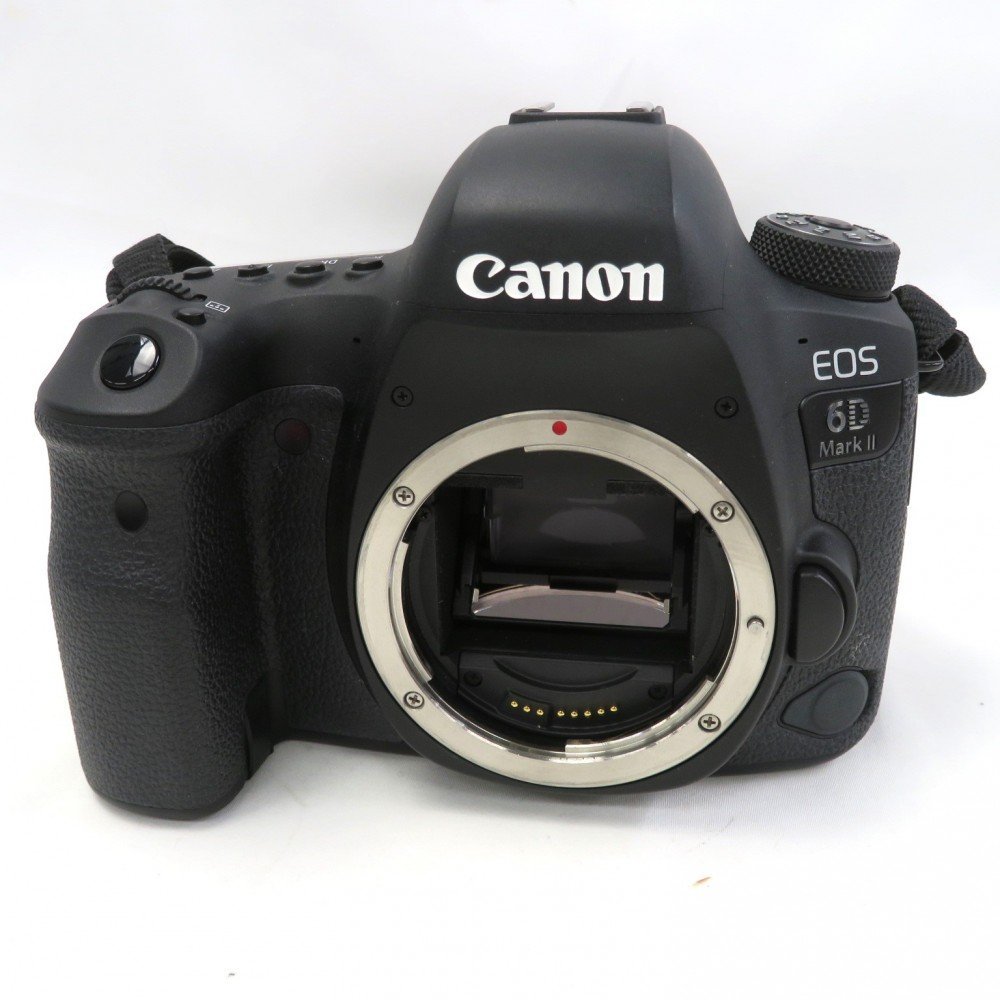 1円～ Canon キヤノン EOS 6D Mark II ケース付 通電確認済 現状品 y273-2454264【Y商品】_画像2