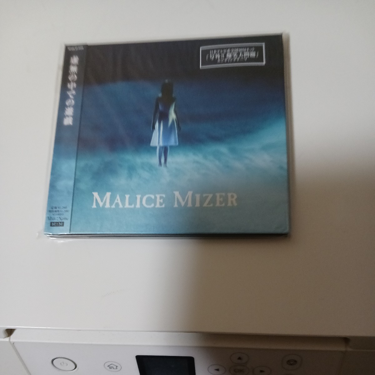 虚無の中での遊戯／ＭＡＬＩＣＥ ＭＩＺＥＲ_画像1