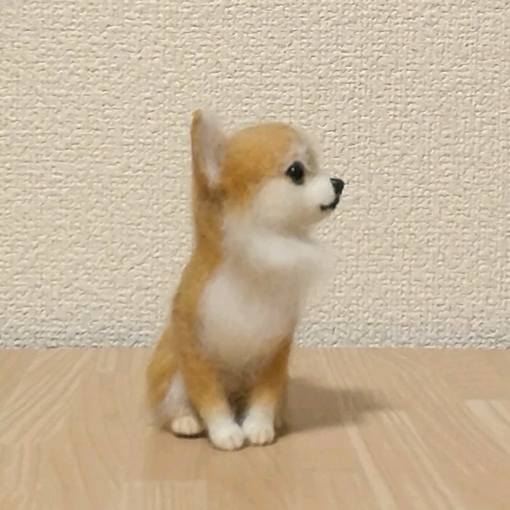 羊毛フェルト ミニチュア 　犬　◇　お座りをした　レッドチワワ　◇ いぬのぬいぐるみ　オリジナル ハンドメイド_画像6