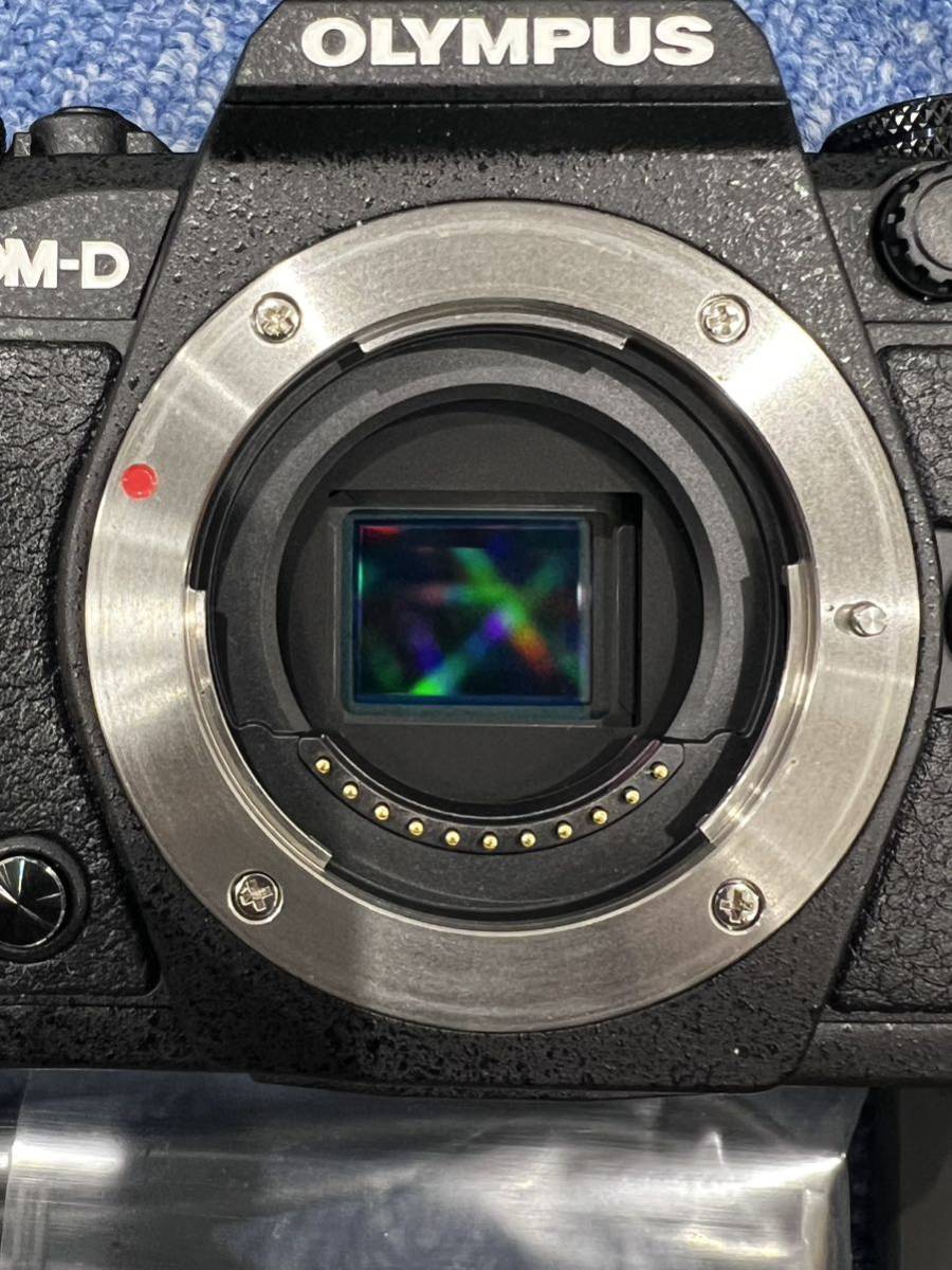 【1.19】OLYMPUS OM-D E-M5 Mark II カメラ 美品_画像2