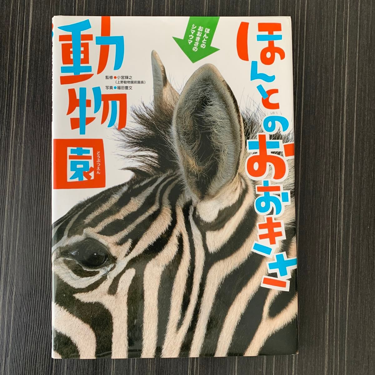 まどあけずかん3冊セット　、ほんとのおおきさ動物園(おまとめ4冊)