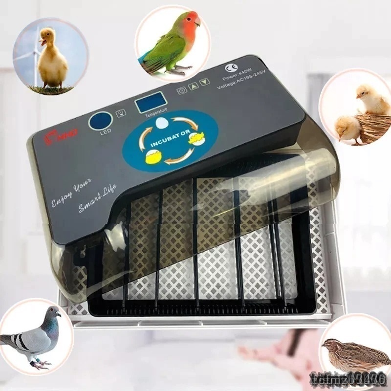【skd】自動孵卵器 インキュベーター 12個 デジタル 温度制御装置 鶏 にわとり ウズラ あひる 鴨 ガチョウ 自動培養器_画像1