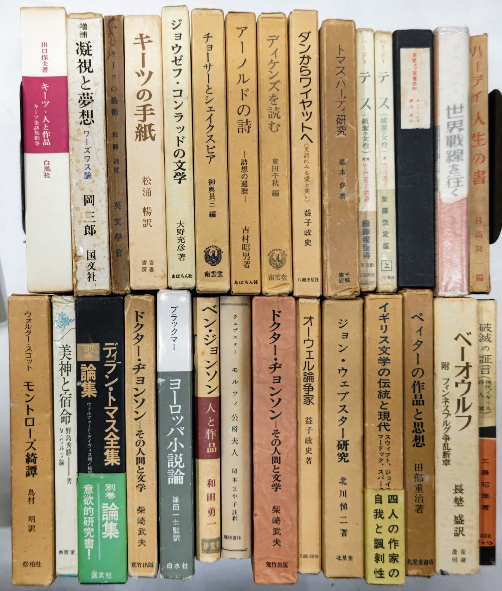 e0229-9 英米文学 書籍まとめ 小説 詩 文芸評論 モダニズム 大量 戯曲 演劇 オーウェル ハーディ キーツ ロマン派 ディケンズ 世紀末文学_画像1