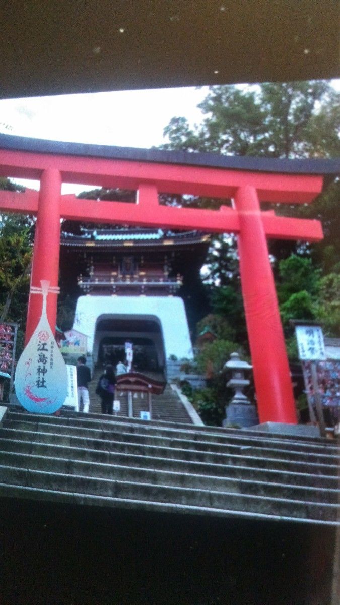 ★2024年干支　辰★江ノ島神社、龍神本水晶幸福、運気向上ペンダント、ネックレス