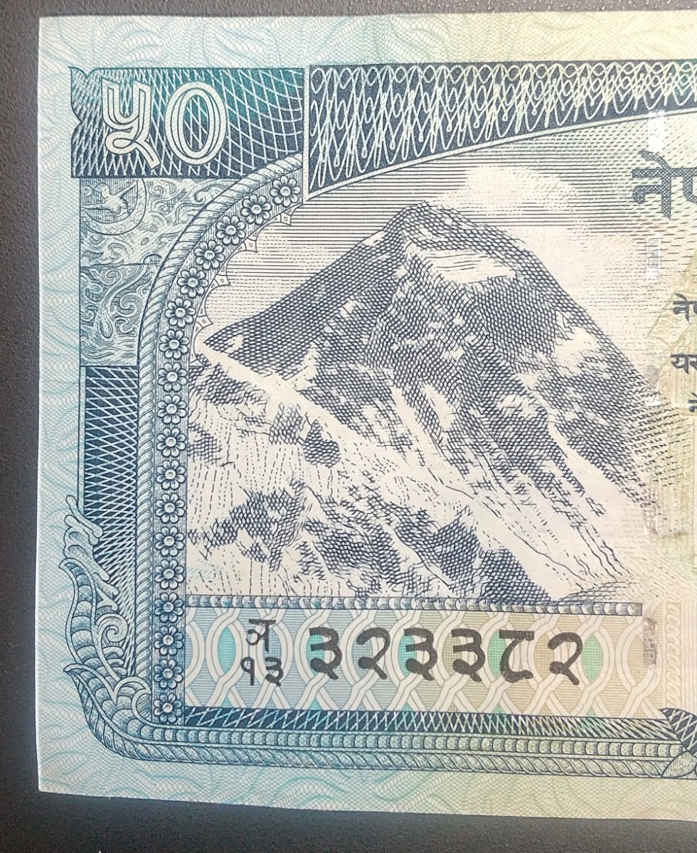 5370 ネパール５０ルピー紙幣の画像2