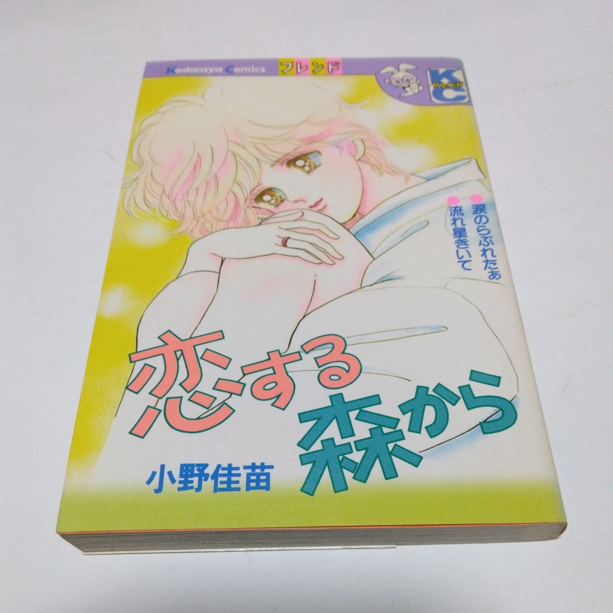 恋する森から　全1巻（再版）小野佳苗　講談社　少女フレンドコミックス　当時品　保管品　絶版コミックス_画像1