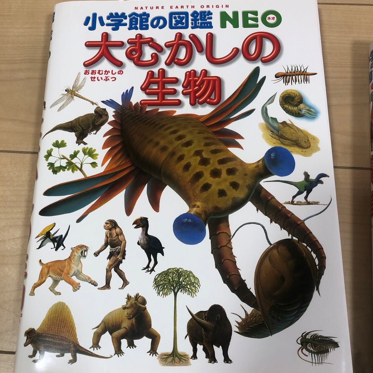 恐竜 （小学館の図鑑ＮＥＯ　１１） （新版） 冨田幸光／監修・執筆