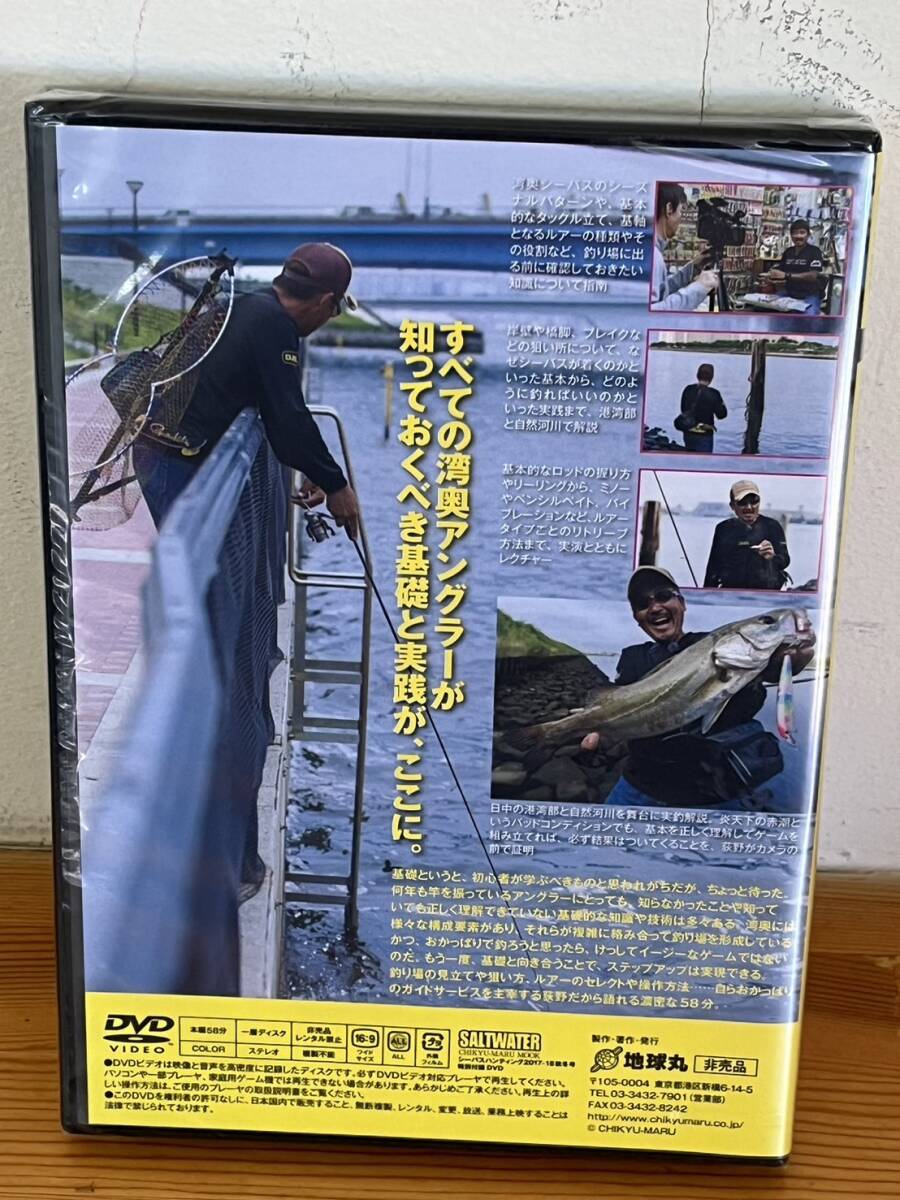 SALTWATER ソルトウォータームック 「シ－バスハンディング 2017-18秋冬号」 特別付録 DVD 58分 萩野貴生 非売品_画像2