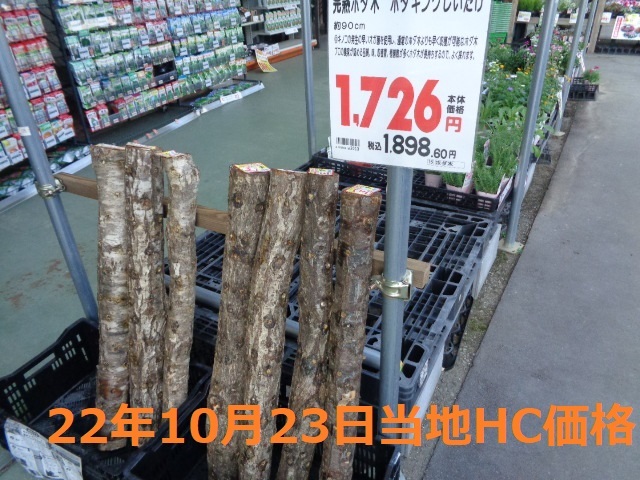  flat .(simeji). .. tree ho da tree very thick size approximately 90cm( length ) diameter 15 centimeter rom and rear (before and after) . tree maple ( maple ): postage Yamato mail F size 