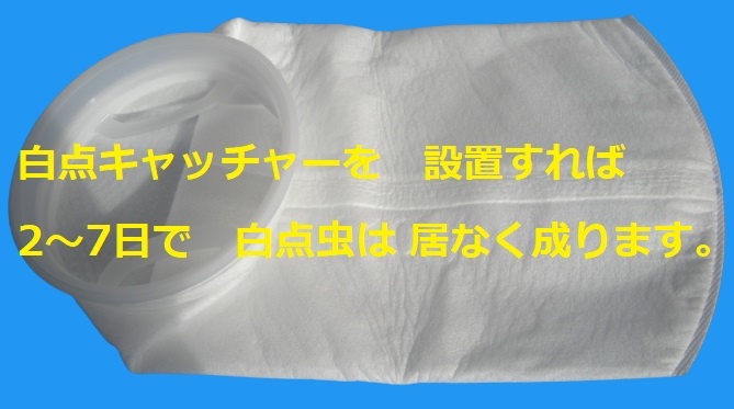 観賞魚対応　海水魚　サンゴ水槽　白点虫除去フィルター　白点キャッチャー　Lタイプ　熱帯魚　金魚　メダカ　116_画像3