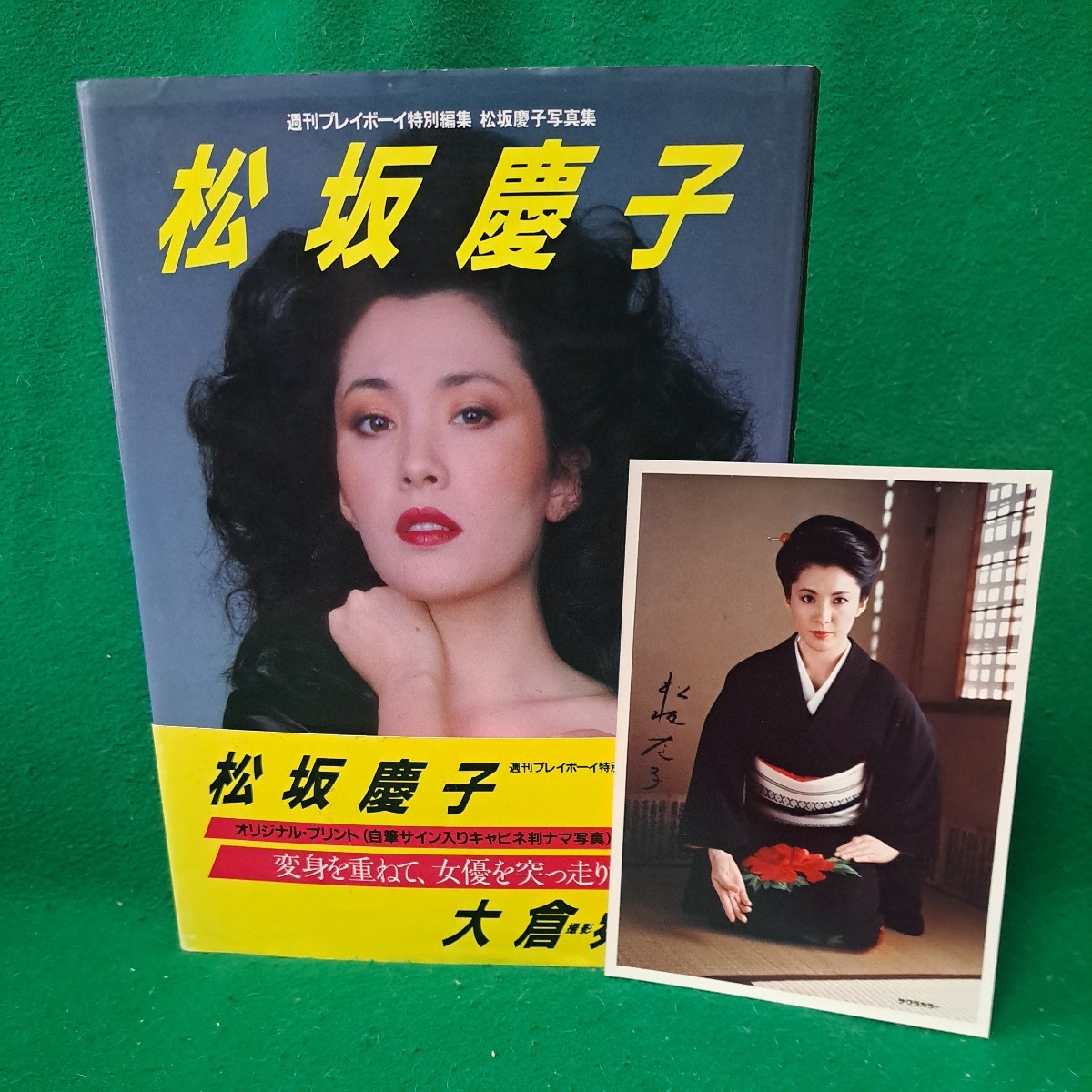 Yahoo!オークション - 美品 松坂慶子 写真集 帯付 ナマ写真 昭和 Yahoo!オークション - 美品 松坂慶子 写真集 帯付 ナマ写真 昭和